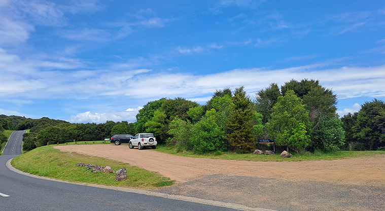 Whakanewha Forest Path - An alternative start location is the Carsons Road car park.