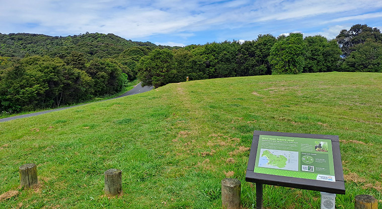Whakanewha Forest Path - Join the Tarata Track. Signage starts for the tree trail.