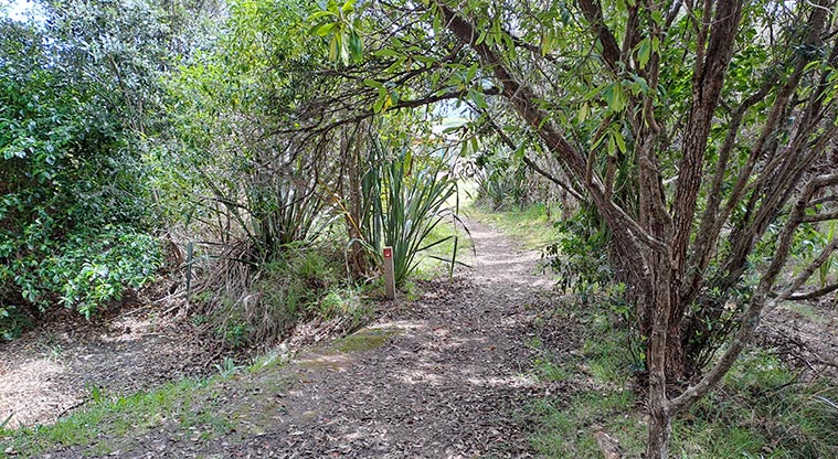 Whakanewha Forest Path - Keep right past the toilet. The car park is 40m ahead.
