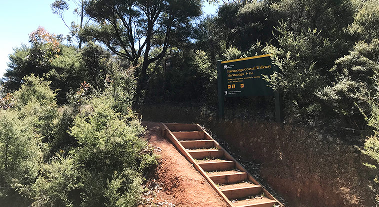Whangapoua Lookout Path - The track itself starts with some steps, after that it is a gradual climb on good gravel.