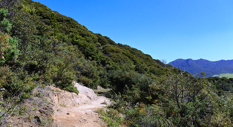Whangapoua Lookout Path - Notice the amazing colours in the soil and rocks here.