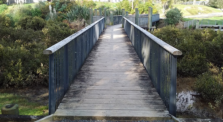 Whitford Path - Bridge over Turanga Creek.