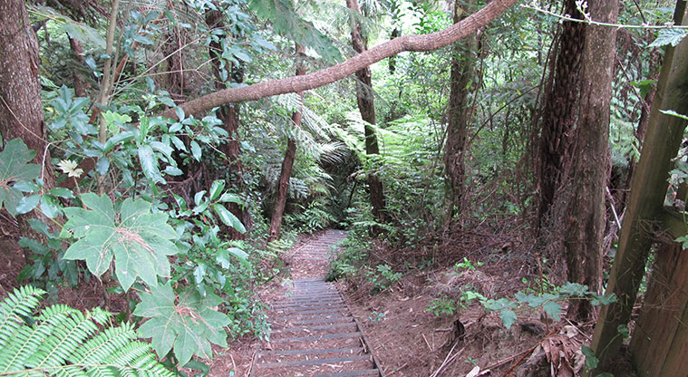 Witheford Reserve Path - Be prepared for steps down and up.