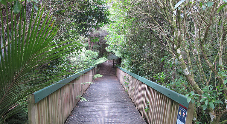 Witheford Reserve Path - Entry from Kaipātiki Road.