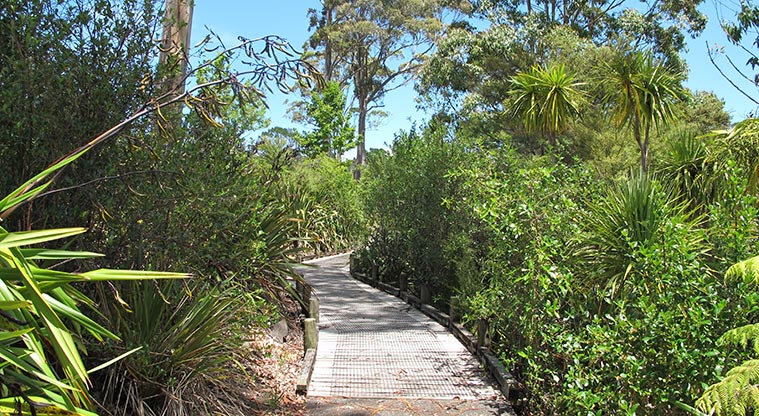 Xena Park Path - Short boardwalk section of the path.