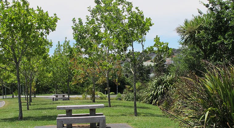 Xena Park Path - Picnic areas are also available.