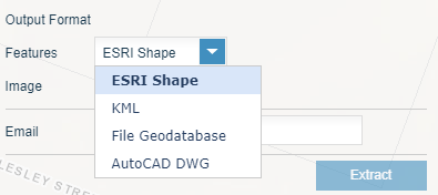 screenshot of output format menu showing features drop-down menu with ESRI Shape selected