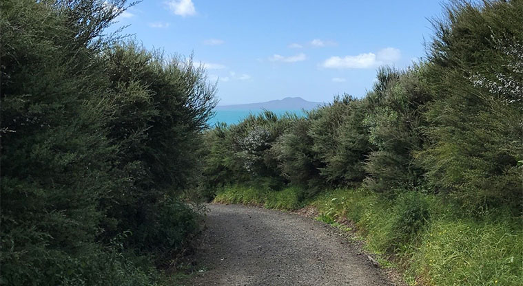 Long bay outlet walking track