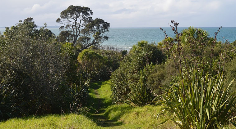 Long Bay Coastal Track coastal walks in Auckland