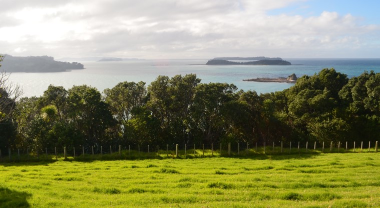 Cudlip Point Loop Track - coastal walks in Auckland