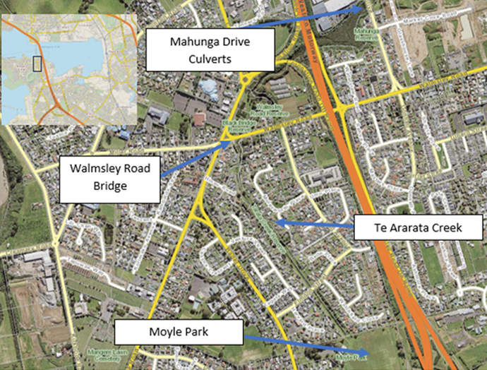 A satellite image of the Te Ararata Creek Flood Resilience Project area.